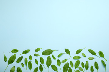 Fresh spinach on color background