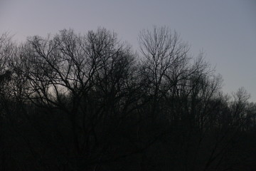 creek side at dusk, December