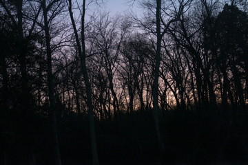 after sunset across the creek