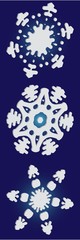 Collection of paper cut isolated snowflakes on blue background.