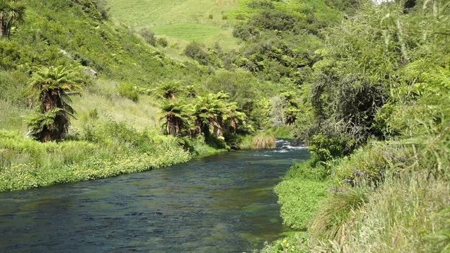 SLOWMO - Peaceful scene of Te Waihou Putaruru Blue Spring in New Zealand