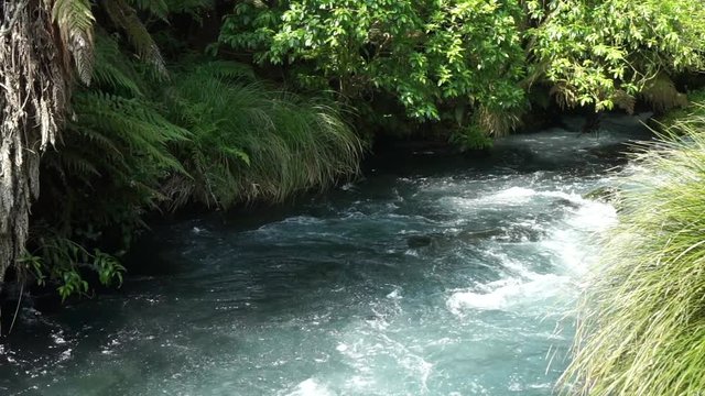 SLOWMO - Shot of flowing Blue Spring Creek Putaruru with rapids in Zealand