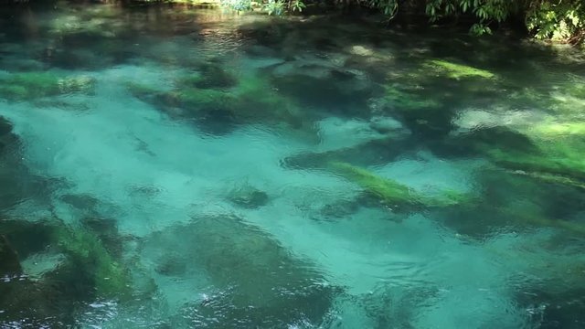 SLOWMO - Shot of slowly flowing pristine clear turquoise river Putaruru Blue Spring in New Zealand