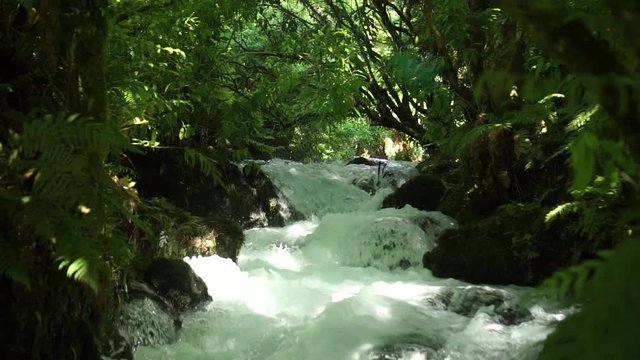 SLOWMO - Low upstream shot of pristine clear creek flowing fast over rocks in native lush New Zealand forrest