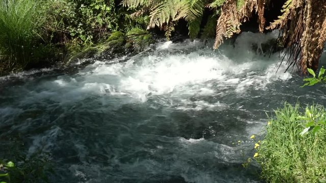 SLOWMO - Fast flowing river with rapids Putaruru Blue Spring, New Zealand