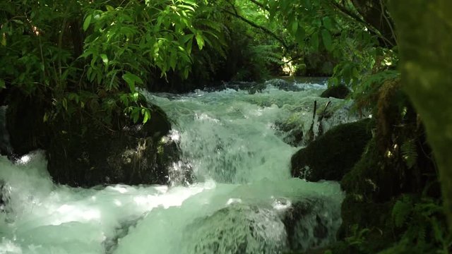 SLOWMO - Fast flowing creek in lush forrest with rapids and rocks at Putaruru Blue Spring, New Zealand