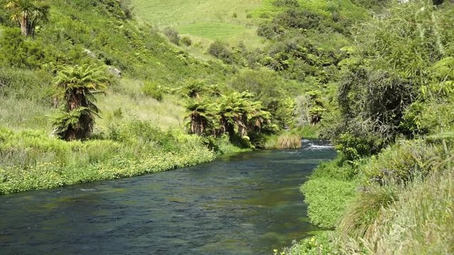 Peaceful scene of Te Waihou Putaruru Blue Spring in New Zealand