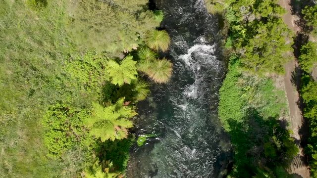 Top down aerial view of Blue Spring Putaruru water stream in New Zealand