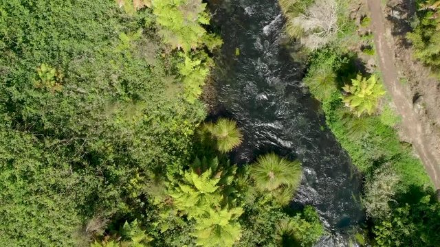 Top down aerial view of clean fresh water river flowing in native forrest, New Zealand