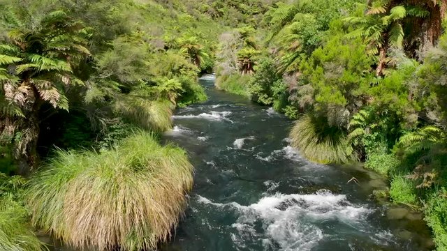 Flying low upstream of pristine clear fresh water creek in tropical lush forrest, New Zealand