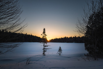 A Cold Winter Sunrise In Algonquin Provincial Park, Canada