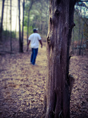 man walking in forest