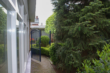 Fototapeta na wymiar typical english garden alley with high fence and trees