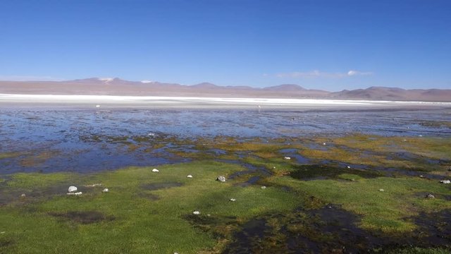 Laguna Colorada - Uyuni - Bolivia	