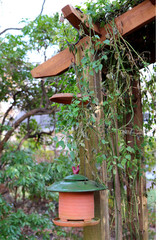 Birdhouse in the garden