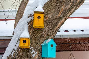 Birdhouse for birds on a tree in winter under the snow.