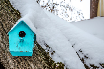 Birdhouse for birds on a tree in winter under the snow.