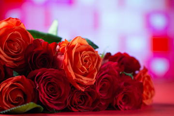 Red roses on a bright background, a holiday and a gift to women and girls. Valentine's day