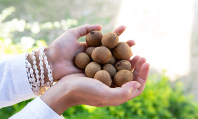 .Longan is an unusual tropical fruit of Asia. Dragon eye fruit, - lam-yai