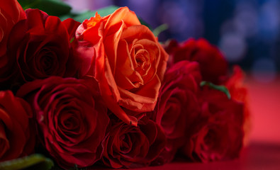 Red roses on a bright background, a holiday and a gift to women and girls. Valentine's day