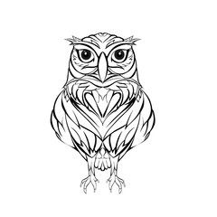 owl on white background