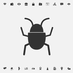 bug insect icon computer vector illustration for graphic design and websites