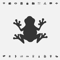 frog icon vector illustration for graphic design and websites