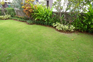 garden arrangement landscaping with green grass turf and small shrub plant in backyack of home decor