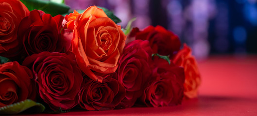 Red roses with a red background, congratulations on Valentine's Day, happy birthday, or happy love day. Romance, Banner