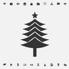 Christmas tree icon vector illustration for graphic design and websites