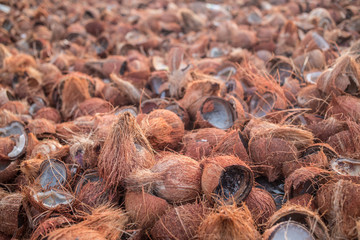 A bunch of opened coconuts on the ground