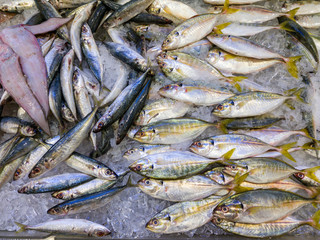 Assortment of fish on ice for sale at seafood market
