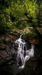 Tropical Waterfall