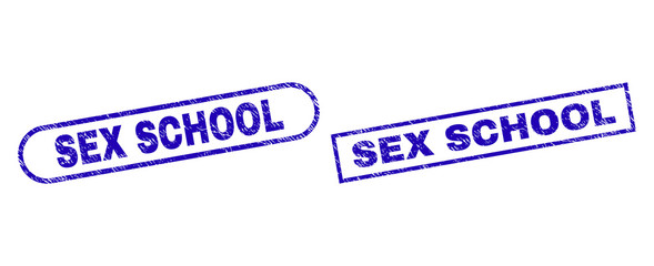 Blue rectangle and rounded SEX SCHOOL watermark. Flat vector distress seal stamps with SEX SCHOOL caption inside rectangle frame and rounded rectangle frames. Watermark with corroded style,