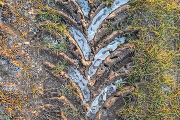 gefrorene traktorspuren auf dem weg