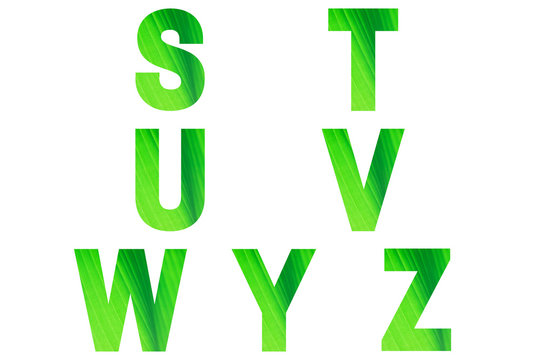 Green font Alphabet s, t, u, v, w, y, z made of natural banana's leaf background.