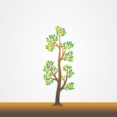 Tree with the roots vector illustration