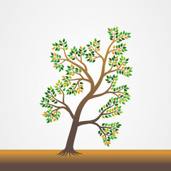 Fototapeta na wymiar Tree with the roots vector illustration