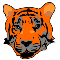 tiger head illustration