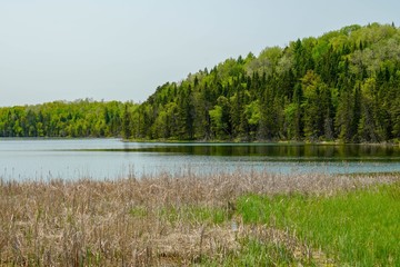 Lake Itasca in summer