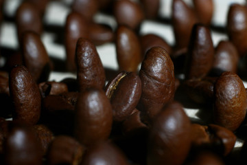 fragrant roasted coffee beans laid out in rows