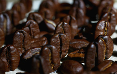 fragrant roasted coffee beans laid out in rows