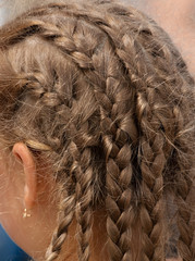 Braided pigtails on the girl’s head