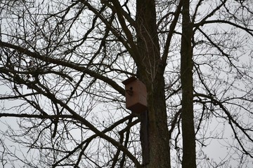 bird on tree