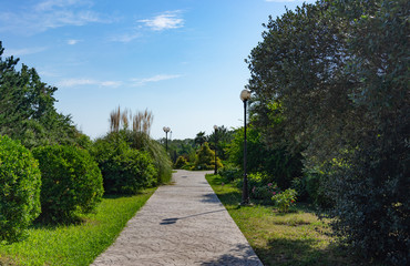 Park of southern cultures. Sochi, Russia