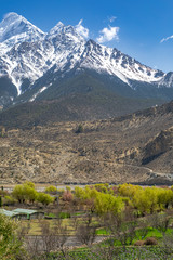 A WAY TO MUKTHINATH