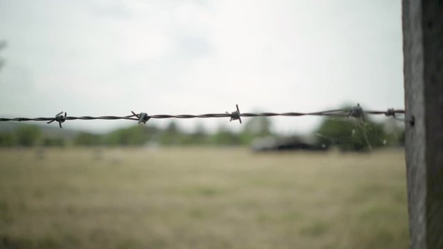 Closeup of Barbed Wire Fence in Medow, Slide Shot