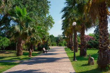 Park of southern cultures. Sochi, Russia