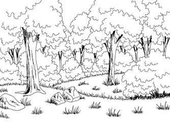 Forest glade graphic black white landscape sketch illustration vector