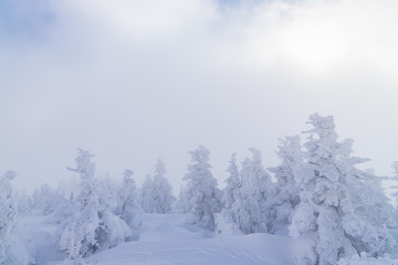 Towada Hachimantai National Park in winter